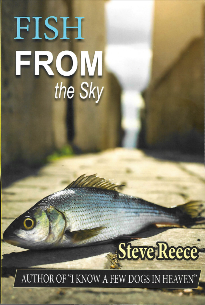 Cover of Fish From the Sky by Steve Reece